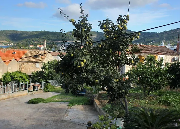 2428c Apartman Vis