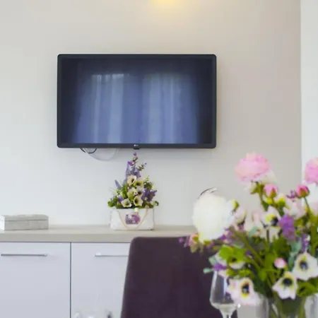 2428c Appartement Vis